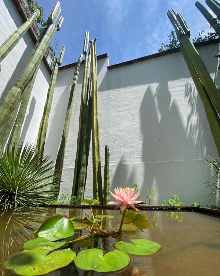 Casa Mayo B&B Oaxaca Luaran gambar