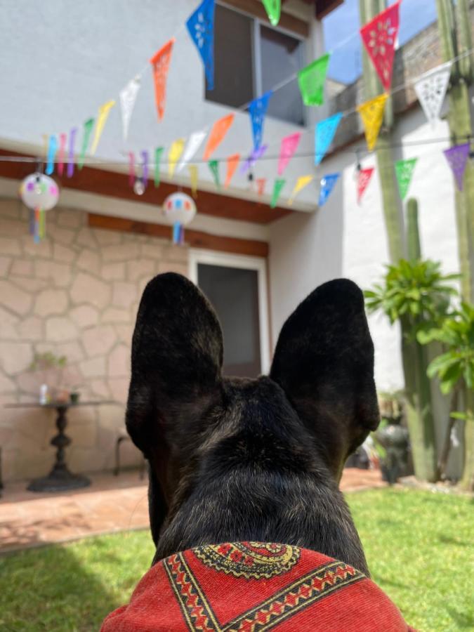 Casa Mayo B&B Oaxaca Luaran gambar